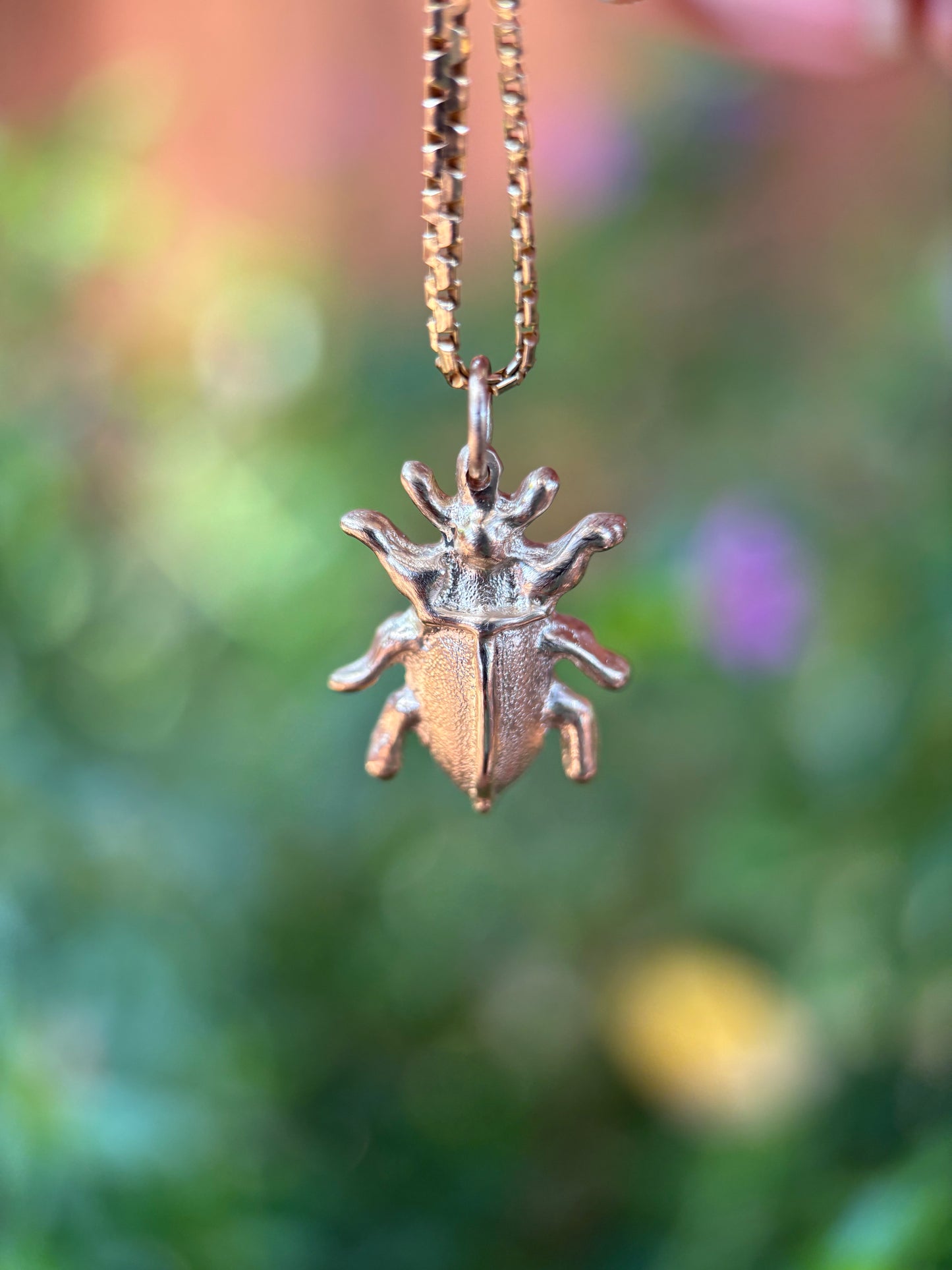 The Beetle Charm