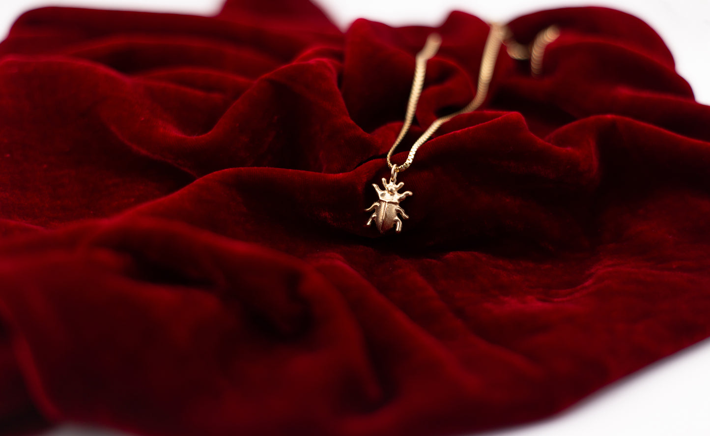 The Beetle Charm