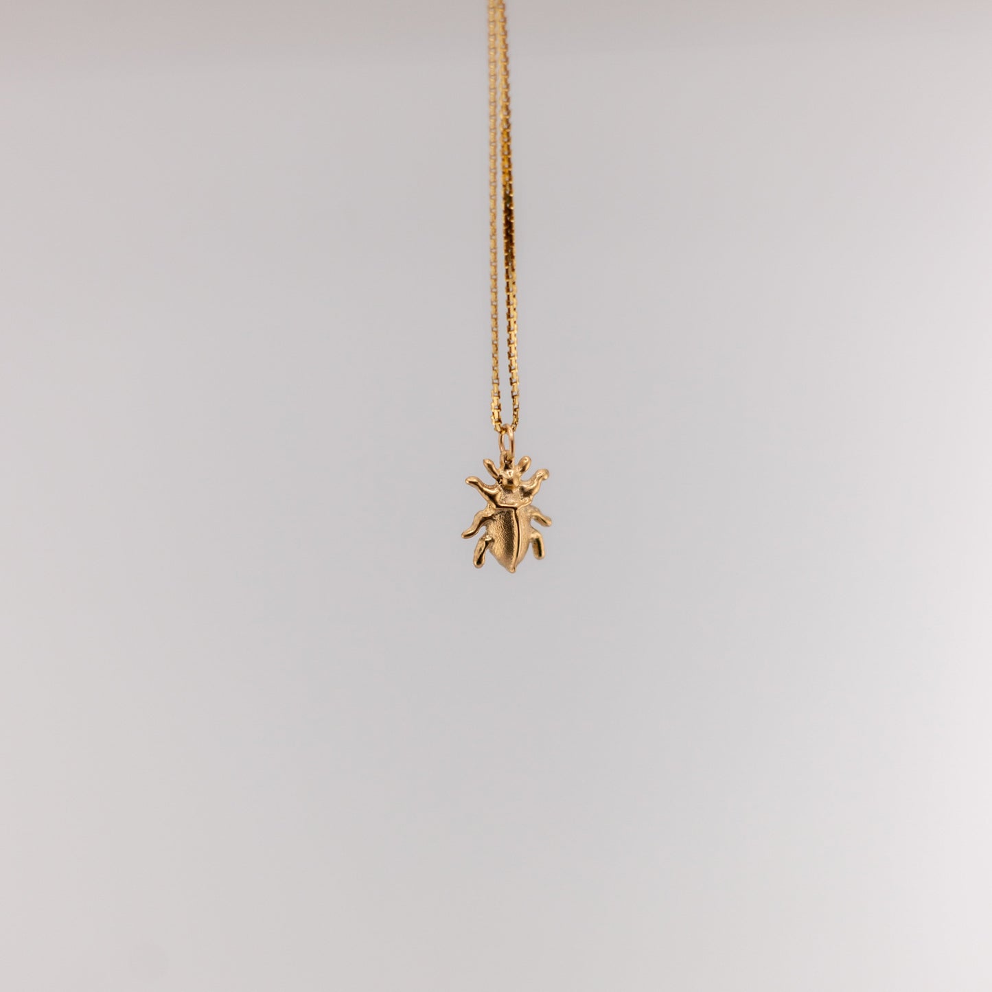 The Beetle Charm
