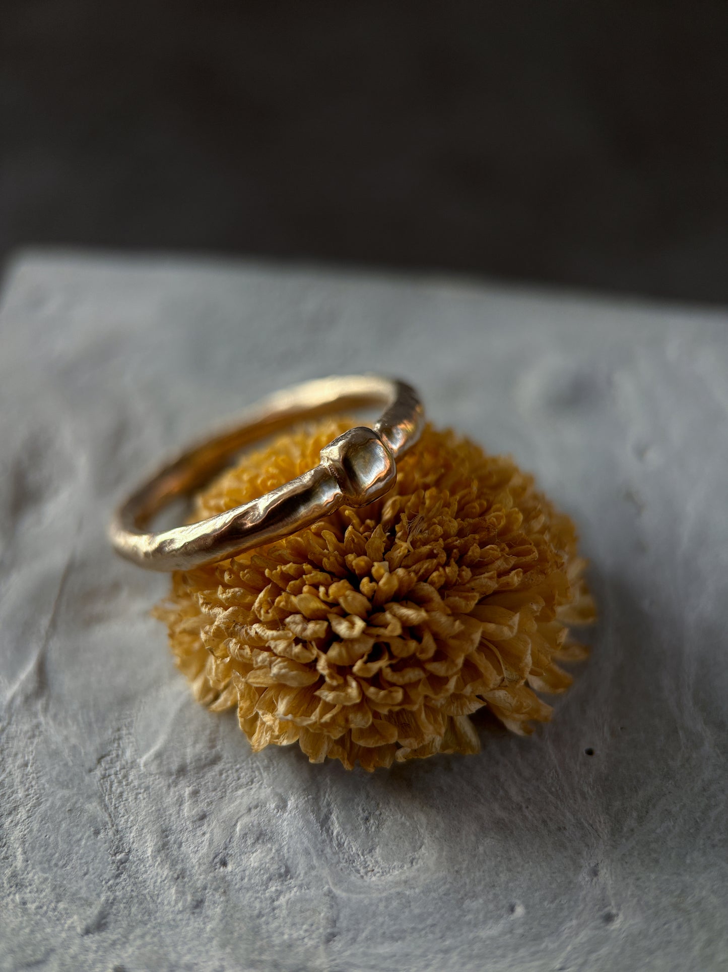 Talus ring