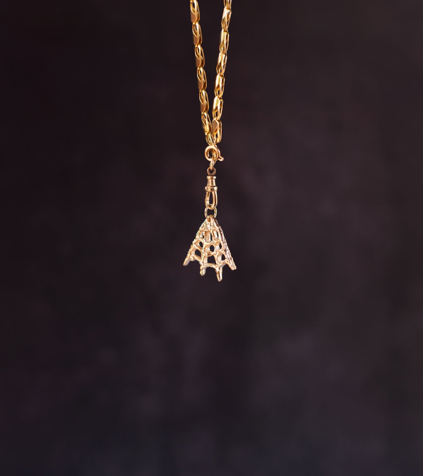 The Spiderweb Charm