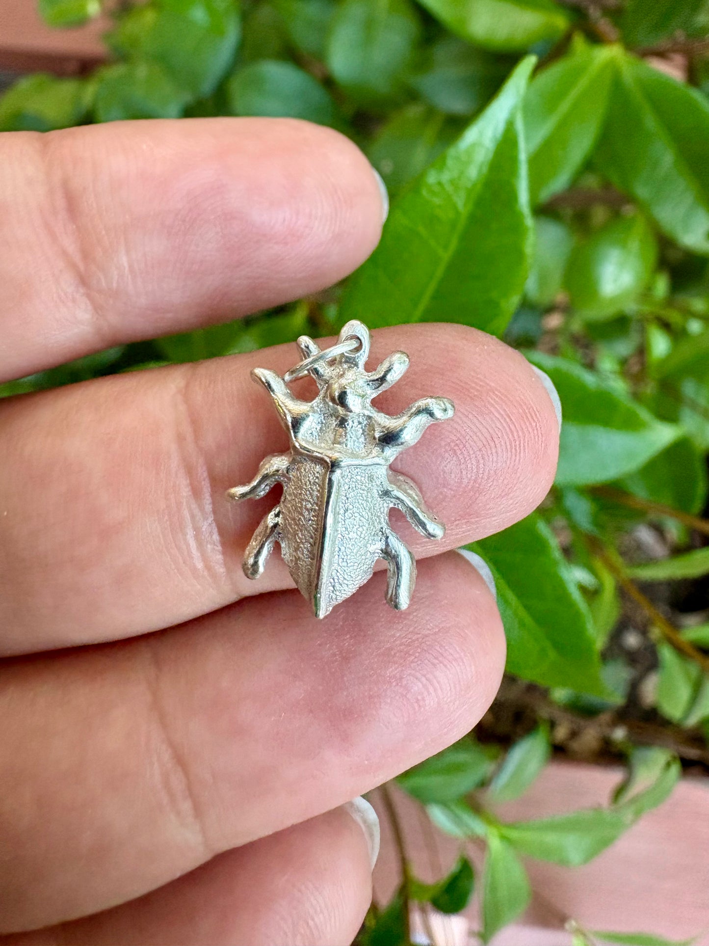 The Beetle Charm