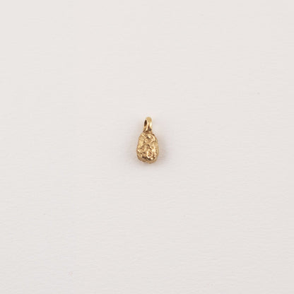 Nugget Charm