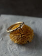 Talus ring