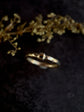Talus ring