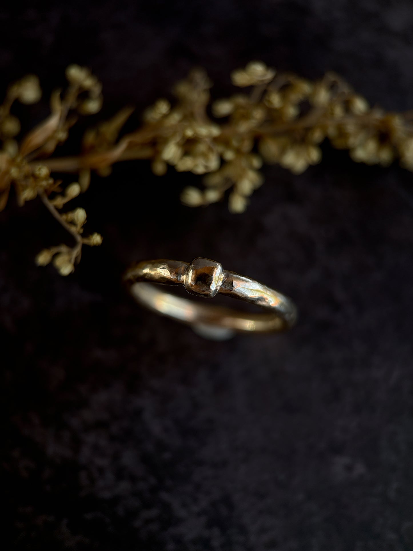 Talus ring