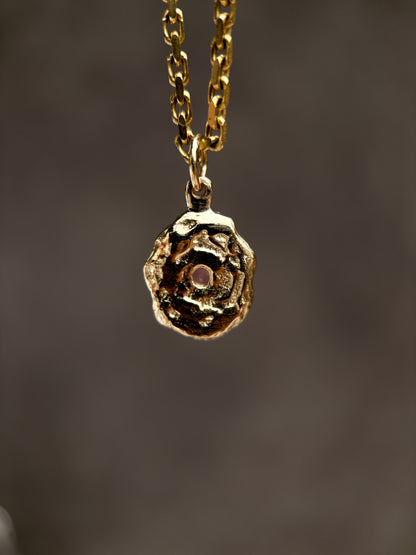 Asterin Amulet