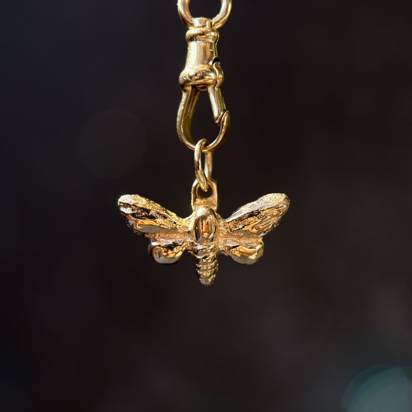 Sphinx Moth Relic