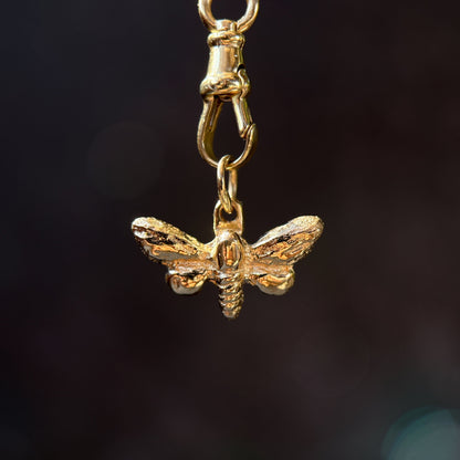 Sphinx Moth Relic