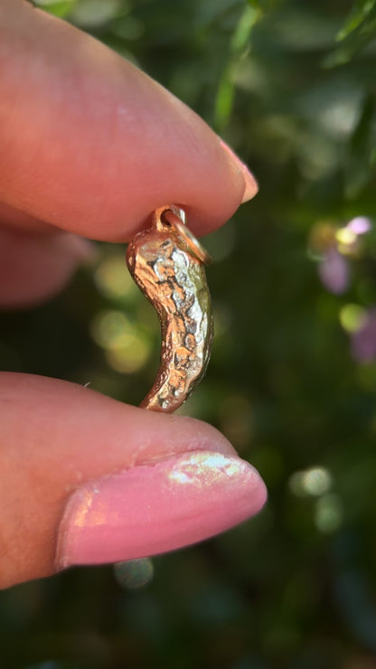 Ancient Talon Charm